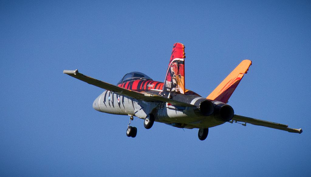 hornet1